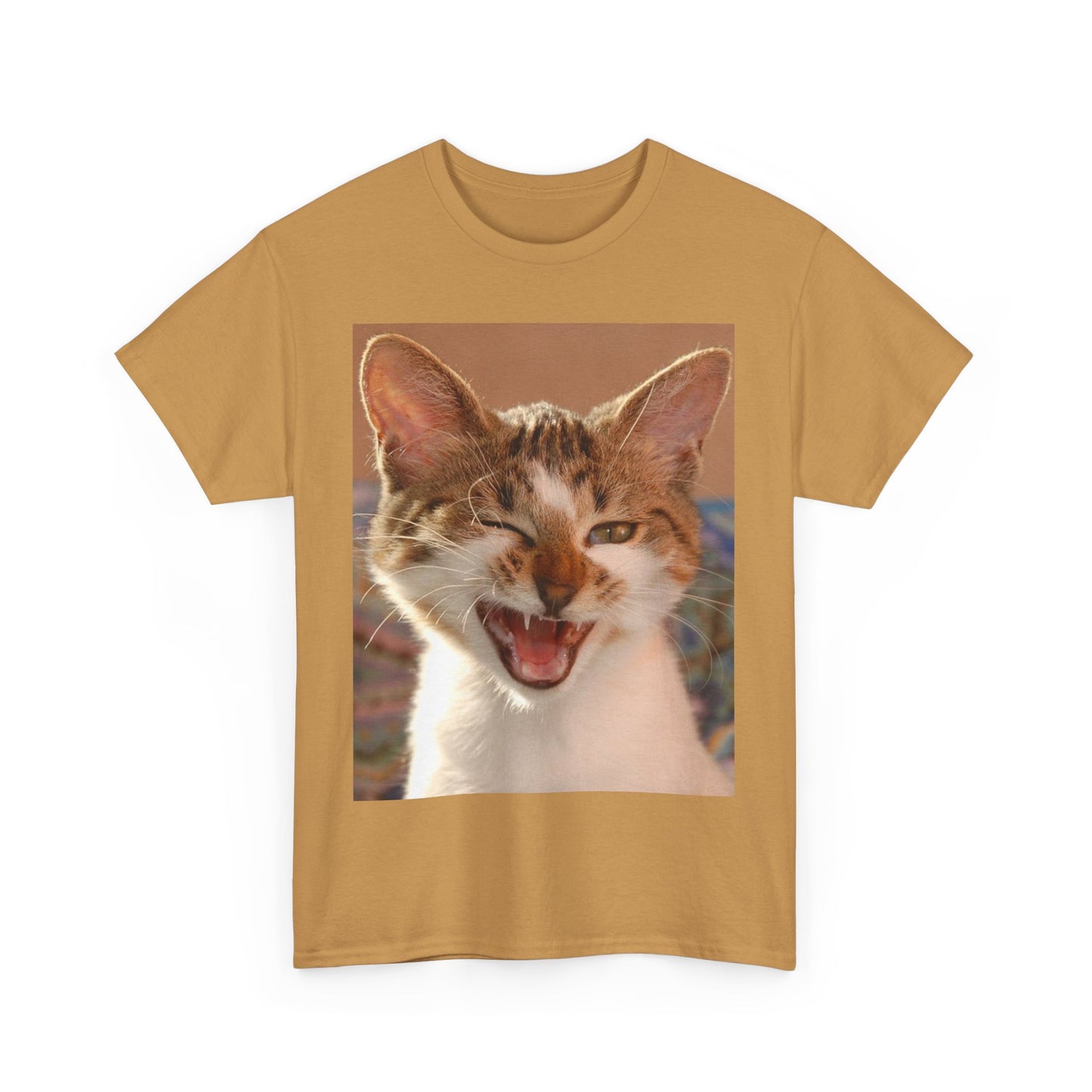 kitten t-shirt